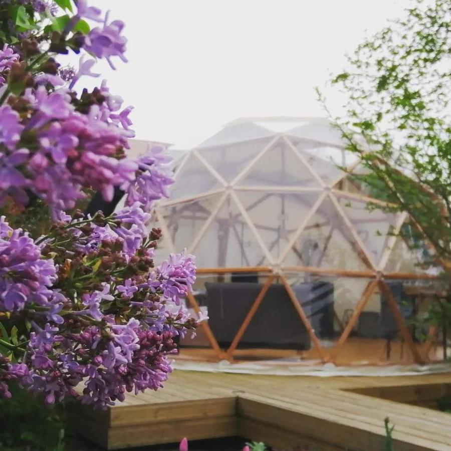 Le Dome Aux Oiseaux Hotel Berig-Vintrange Exterior photo